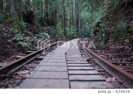 トロッコ道 線路 カーブ 屋久島の写真素材