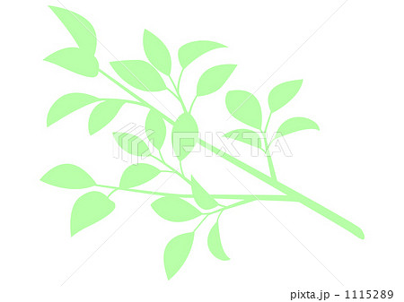 木の枝 枝 葉 白抜きのイラスト素材