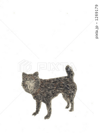 甲斐犬のイラスト素材