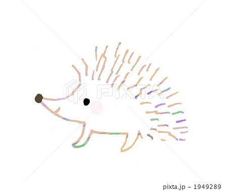 ハリネズミ 動物 陸上動物 イラストのイラスト素材 Pixta
