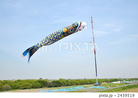 想像を超えての 水彩画 ジャンボ鯉のぼり F4 絵画/タペストリ