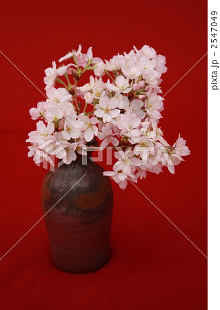 備前花生け 20230918 野茨 女郎花 丸葉万作 Rose hip Patrinia Disanthus