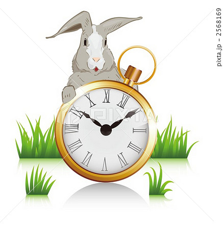 時計 うさぎ イラスト 動物 ウサギの写真素材