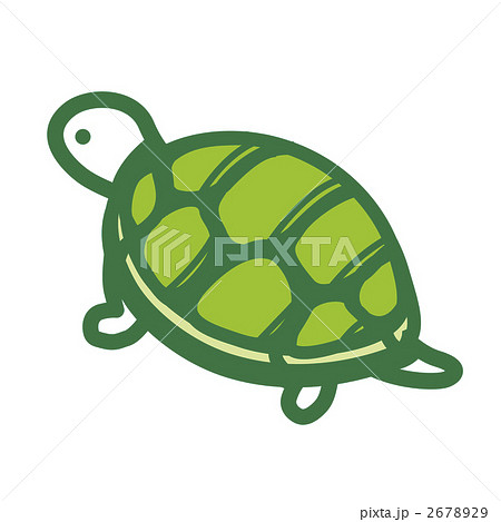 亀 単体 シンプル イラストのイラスト素材