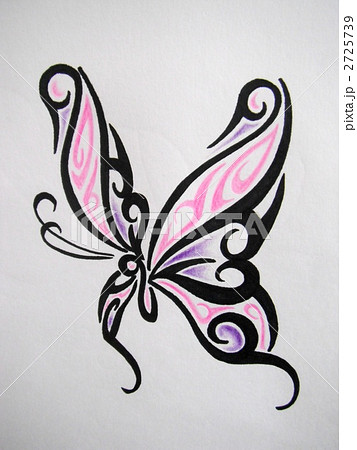 バタフライ 蝶 手書き イラストの写真素材