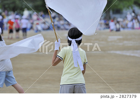 天然ロリ  小学生女子　運動会 