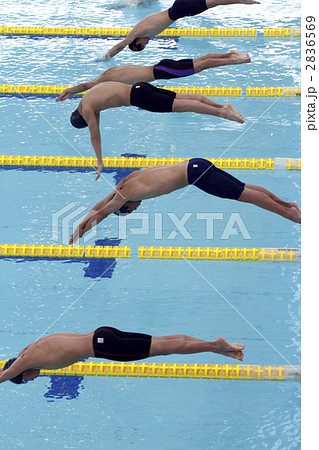水泳 スタート 競泳 スポーツ プール 若い 元気の写真素材