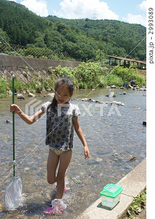 女子 小学生 川遊び 半袖の写真素材