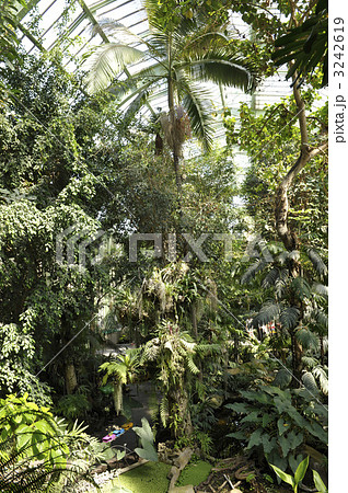 植物園 温室 フランス 自然光の写真素材 Pixta