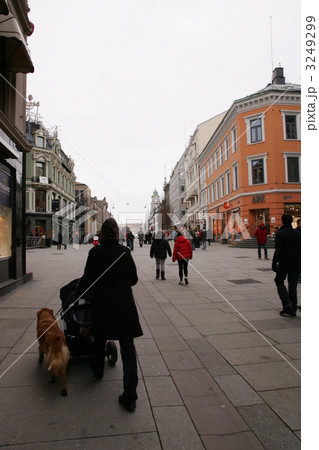 犬 北欧 散歩 後姿 商店街 町並みの写真素材
