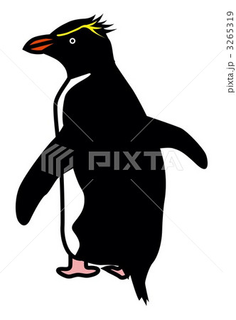 ベクター イワトビペンギン イラスト ペンギンのイラスト素材