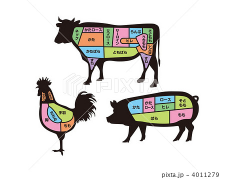 豚 豚肉 部位 肉のイラスト素材