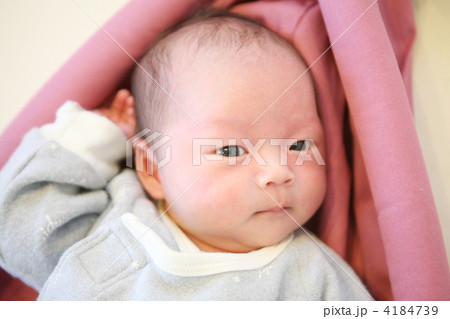 幼児 赤ちゃん 男の子 イケメンの写真素材 幼児 赤ちゃん 男の子 イケメンの写真素材