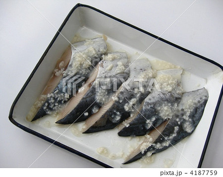 こうじ さわら 青魚 発酵食品の写真素材
