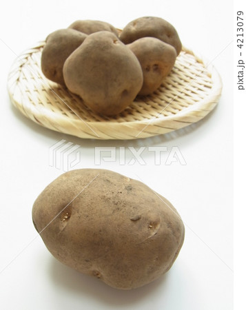 土付きじゃがいもの写真素材
