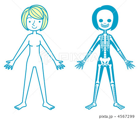 骸骨 人物 女性 骨格のイラスト素材