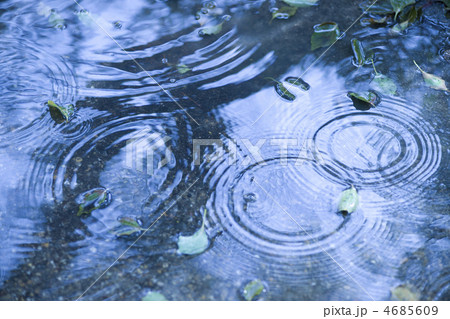 落ち葉 水たまり 波紋の写真素材