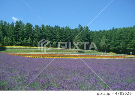 60歳のラブレター 北海道の写真素材