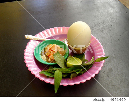 ポーンティアコーン(孵化しかけのアヒルの卵)