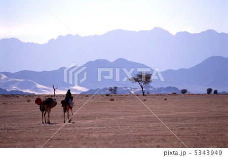砂漠の民の写真素材