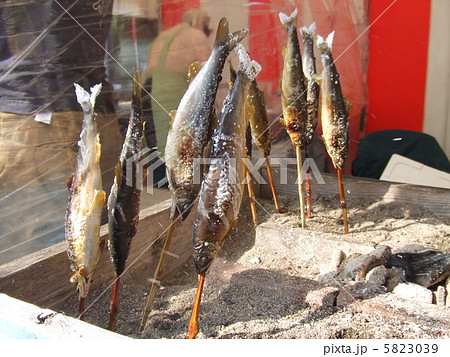 串刺し 鮎 塩焼き 焼き魚の写真素材