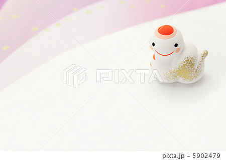 白ヘビの写真素材 - PIXTA