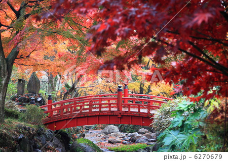 赤い橋 紅葉 色とりどり 植木の写真素材