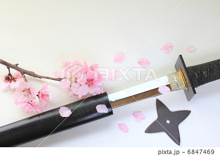 刃物 日本刀 刃 模擬刀の写真素材