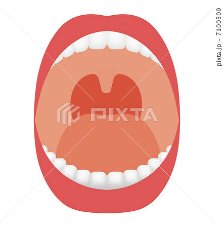 喉の奥のイラスト素材