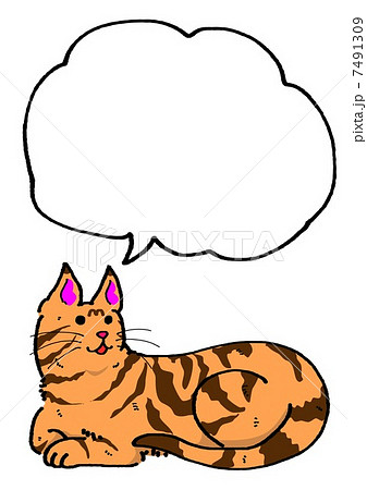 虎猫のイラスト素材