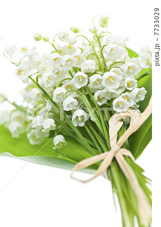 すずらん スズラン 鈴蘭 花束の写真素材