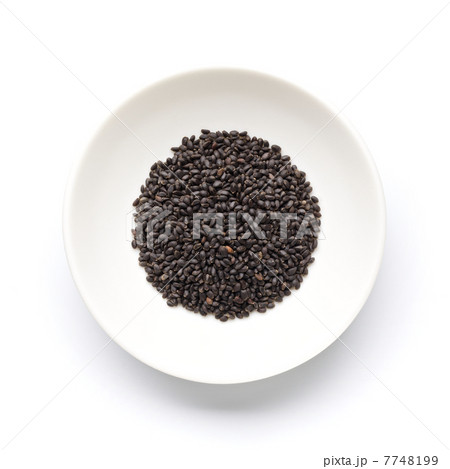 スイートバジルシード バジルシードの写真素材 スイートバジルシード バジルシードの写真素材