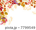 가을 열매 배경 - 스톡일러스트 [7678410] - Pixta