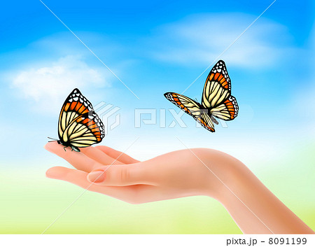 昆虫 蝶 チョウ 指のイラスト素材