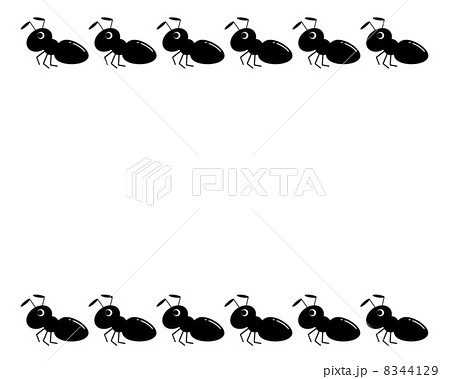 蟻さん 黒アリ かわいい あり 素材 白バック イラストのイラスト素材 Pixta