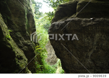 名越切通しの写真素材