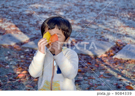 落ち葉拾いの写真素材