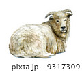 動物 羊 全身 リアルのイラスト素材