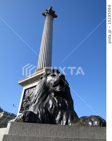 トラファルガー広場 ライオン像 Trafalgar イギリスの写真素材