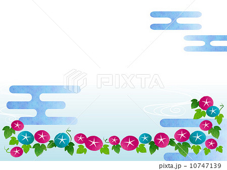 花 アサガオ 涼しげ ７月のイラスト素材