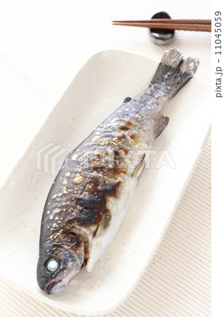 ニジマス 塩焼き 焼き魚 魚の写真素材