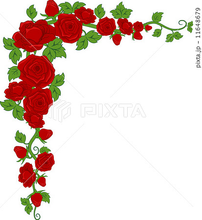 花 つるバラ 薔薇 バラ イラスト 挿絵のイラスト素材