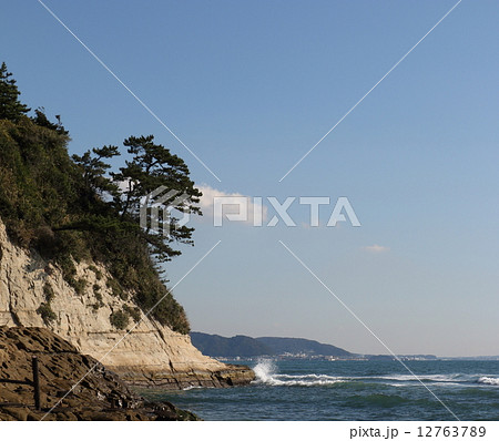 松の木 松 崖 海の写真素材