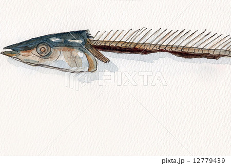 油絵（魚）秋刀魚