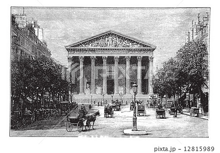 マドレーヌのイラスト素材