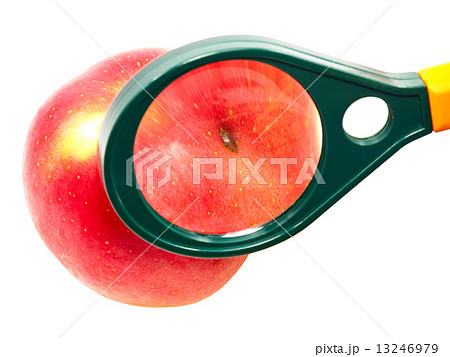りんご 虫食い 苦悩 イモムシの写真素材