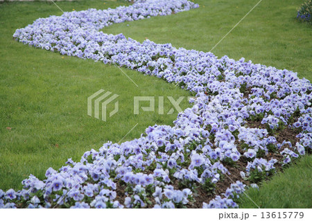 パリの花壇 きれいな花壇 ヨーロッパ フランスの写真素材