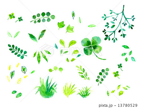 緑 水彩 植物 葉のイラスト素材 Pixta