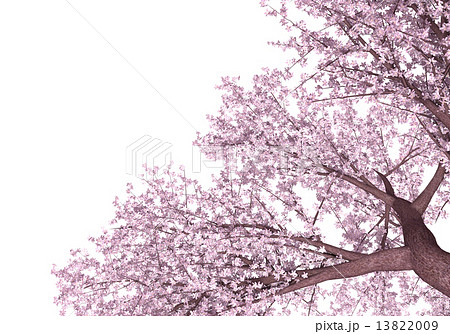 印刷可能 桜 イラスト 透過 イラスト画像の無料ダウンロード