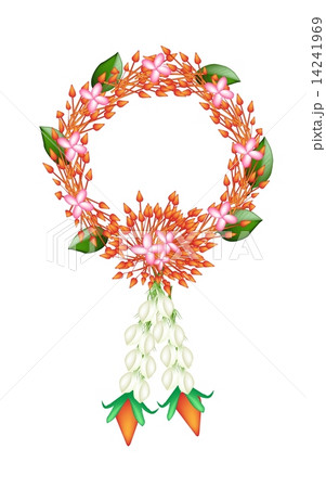 花輪 ガーランド 花冠 茉莉花のイラスト素材